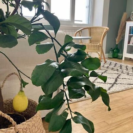 Le Citronnier Apartment Fouesnant Luaran gambar