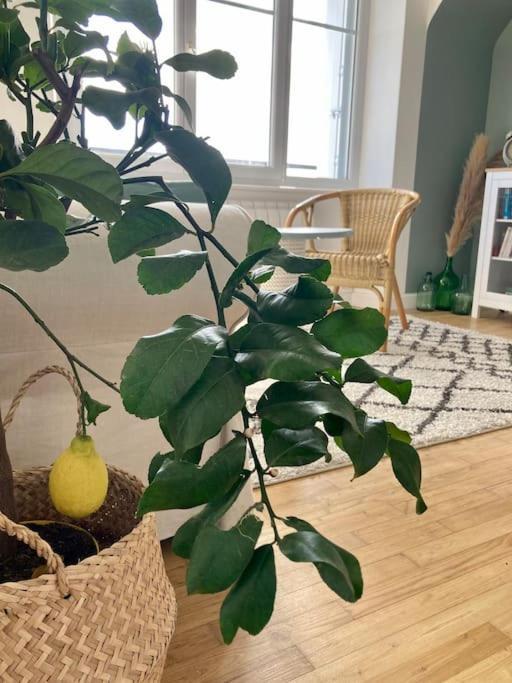 Le Citronnier Apartment Fouesnant Luaran gambar